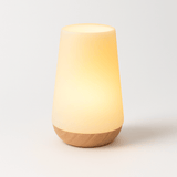 Rudder Table Lamp