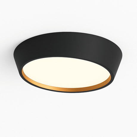 Stern Ceiling Light