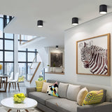 Mica Downlight