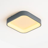 Cove Ceiling Light