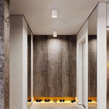 Moonstone Downlight