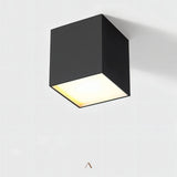 Moonstone Downlight