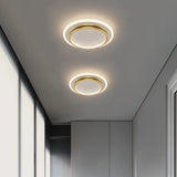 Premise Ceiling Light