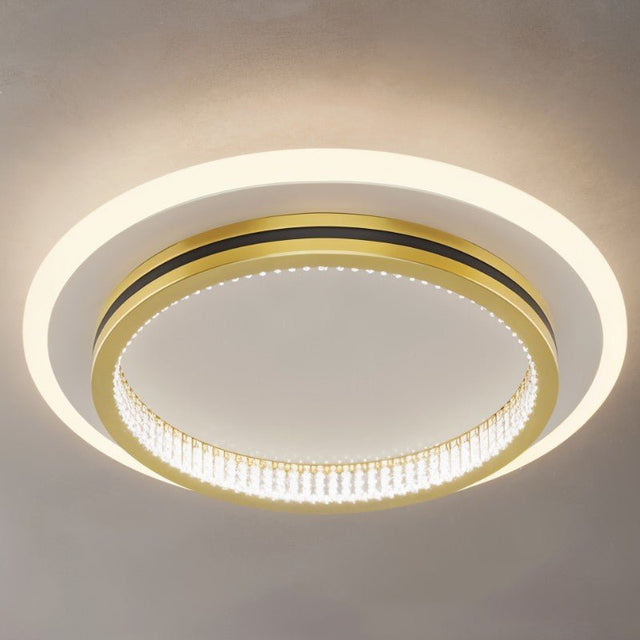 Premise Ceiling Light