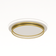 Premise Ceiling Light