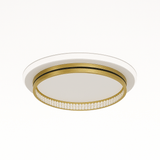 Premise Ceiling Light