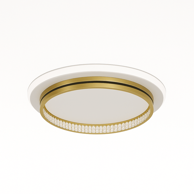 Premise Ceiling Light