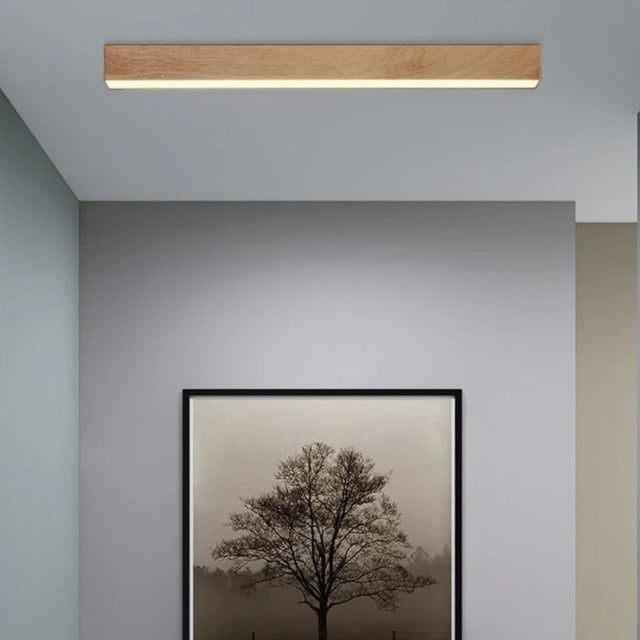 Treis Ceiling Light