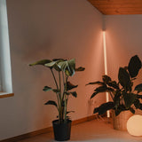 Diopter Floor Lamp
