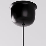 Xylem Pendant Light