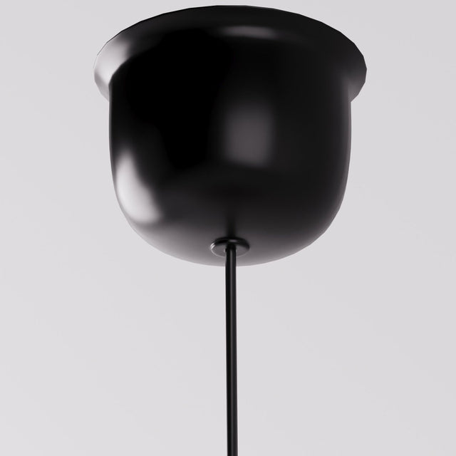 Xylem Pendant Light