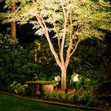 Paljakka Spotlight