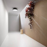 Sodankyla Ceiling Light