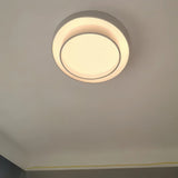 Alpen Ceiling Light