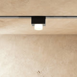 Obsidian Track Light