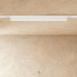 Obsidian Track Light