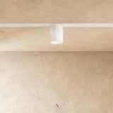 Obsidian Track Light
