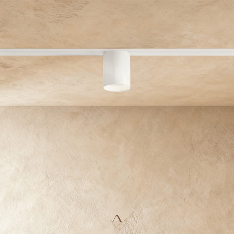 Obsidian Track Light