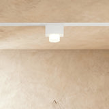 Obsidian Track Light