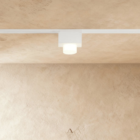 Obsidian Track Light