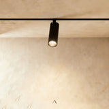 Olivine Track Light