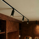 Olivine Track Light