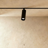 Olivine Track Light