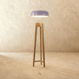Onto Floor Lamp