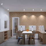 Caine Downlight