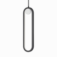 Crow Pendant Light