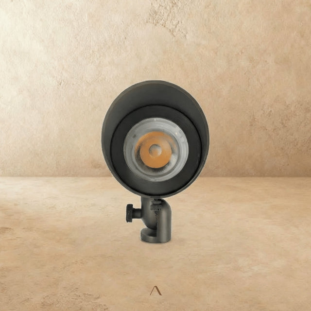 Paljakka Spotlight