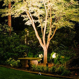 Paljakka Spotlight