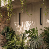 Parabola Wall Lamp