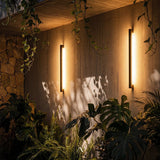 Parabola Wall Lamp