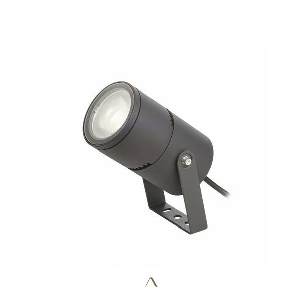 Partakko Spotlight