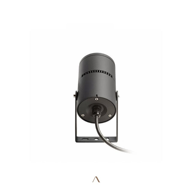 Partakko Spotlight