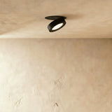 Peridot Downlight