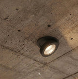 Peridot Downlight