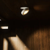 Peridot Downlight