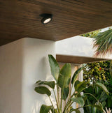 Peridot Downlight