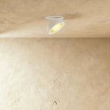 Peridot Downlight