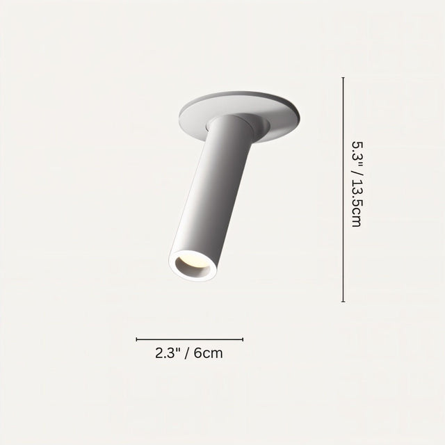 Sheathing Ceiling Light