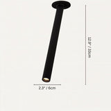 Sheathing Ceiling Light