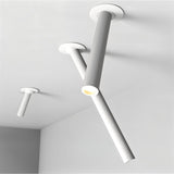 Sheathing Ceiling Light