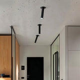 Sheathing Ceiling Light