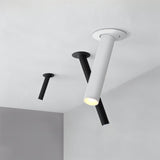 Sheathing Ceiling Light