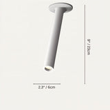 Sheathing Ceiling Light