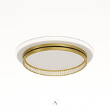 Premise Ceiling Light