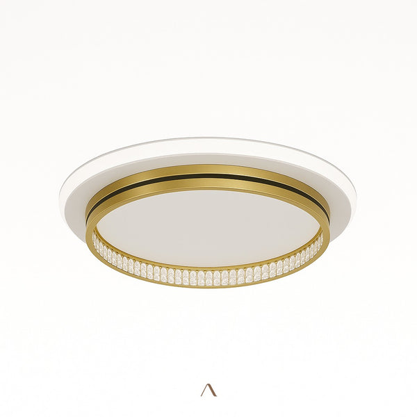 Premise Ceiling Light