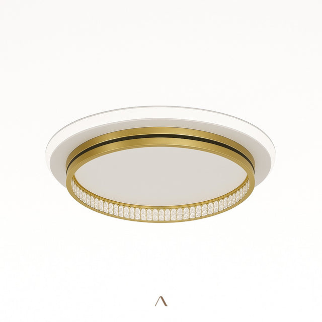 Premise Ceiling Light